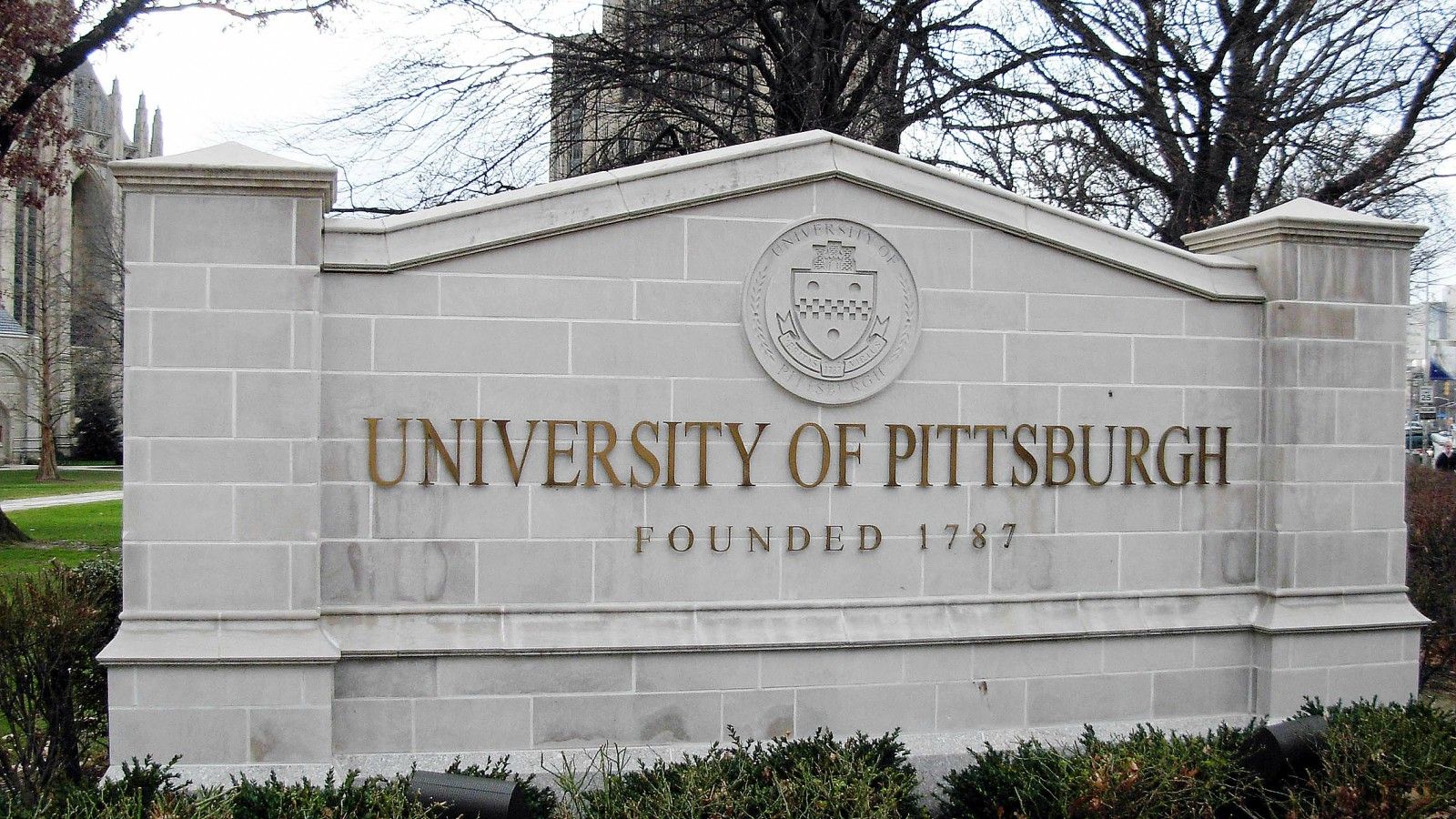 Pubblicata una ricerca targata University of Pittsburgh & Training Lab